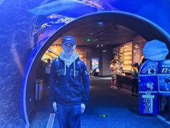 -成都浩海立方海洋公园