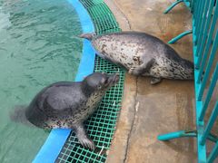 -北戴河圣蓝海洋公园