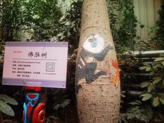 -呀路古热带植物园