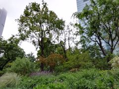 环境-静安公园(静安寺街道)