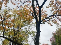 -白鹭湾湿地公园