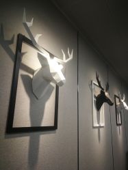 -MJ skin care国际皮肤管理中心