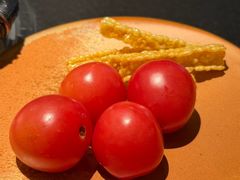 -菌自由丨野生菌火锅特色庭院餐厅(丽江古城店)