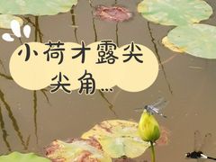 -太阳宫公园