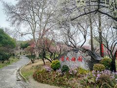 -无锡梅园公园