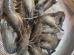 -渔乐里(智荟城店)