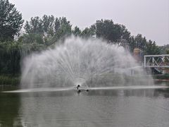 -北戴河集发农业梦想王国