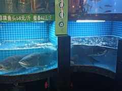 -千岛湖小鱼儿·淳安匠心农家菜