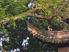 -天一阁博物院