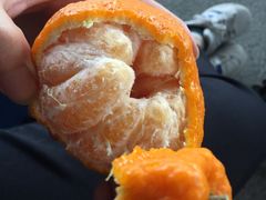 -百果园(奕淳公寓店)