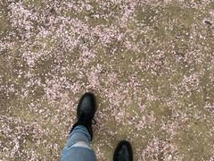 -白塘生态植物园