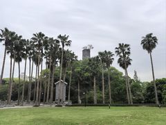 -江心屿景区