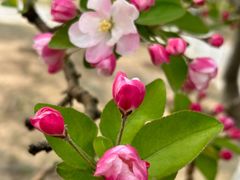 -元大都城垣遗址公园