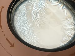 -上海科技馆(地铁站)