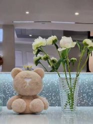 -三只熊皮肤管理中心旗舰店