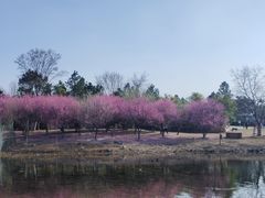 -长江文明馆