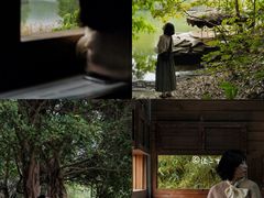 -华侨城湿地公园
