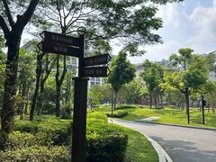 -中山市树木园