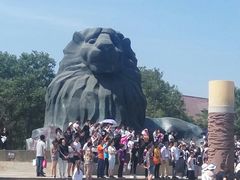 -南戴河国际娱乐中心