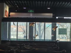 -再宣武文化主题餐厅·清真