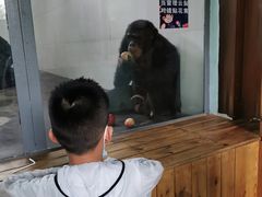 -西安秦岭野生动物园