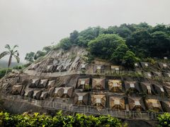 -香港大学