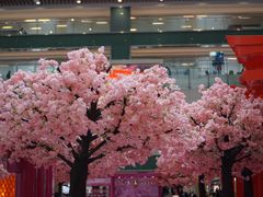 -新城市广场