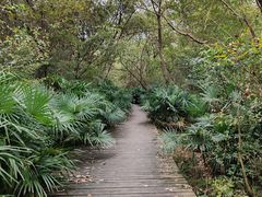 -南山风景名胜区