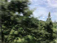 -长田漾湿地公园