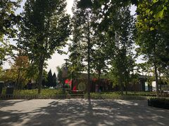 -大兴滨河森林公园