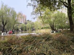 -西安市长乐公园
