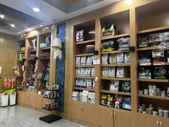-瑞派名望志远动物医院·猫科·內科·异宠专科(直港大道店)