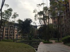 -龙湖·春森彼岸