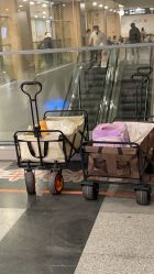 -上海交通大学医学院附属上海儿童医学中心(陆家嘴总院区)