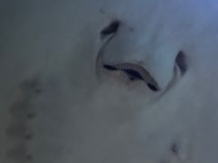 -南昌海洋公园