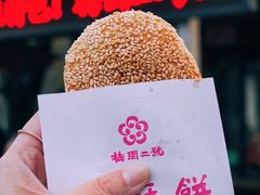 -无锡梅园公园