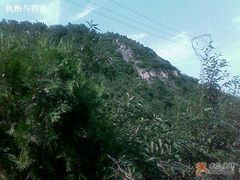 -阳台山自然风景区