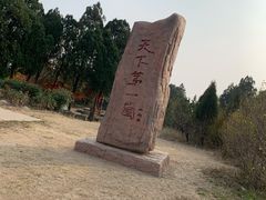 -抱犊崮国家森林公园