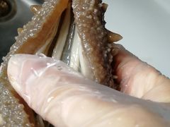 -宫品海参专卖店(静安大宁店)