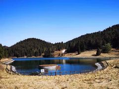 -武陵山森林公园