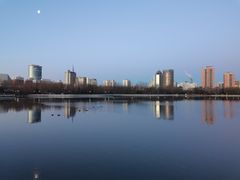 -莲花池公园
