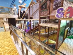 -卡通尼·Safari非洲探索乐园·生日会(金桥国际商业广场店)