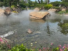 -罗红摄影艺术馆