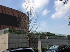 -中国宋庆龄青少年科技文化交流中心
