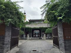 -老槐树煎包