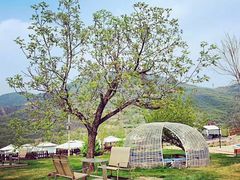 -潭柘厚院(桑峪村店)