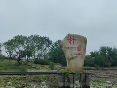 -朴园