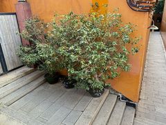 -福州开元寺