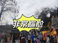 -鸡鸣赐茶(鸡鸣寺路店)