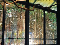 -大自然素食(望桐路店)